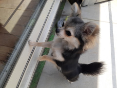 20220530_112510.jpg