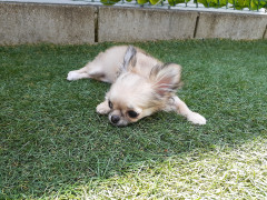 20220530_111958.jpg