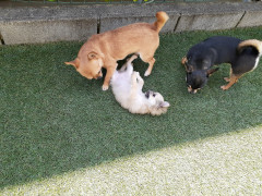 20220530_111950.jpg