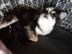 20220604_063756.jpg