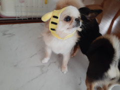 20220604_062051.jpg