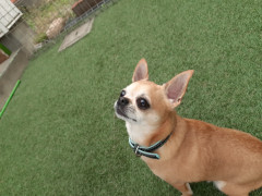 20220603_075853.jpg
