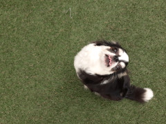 20220603_073801.jpg