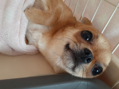 20220609_120345.jpg
