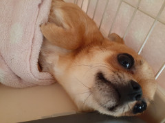 20220609_120336.jpg
