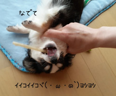 20220611_160742.jpg