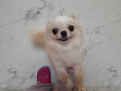 20220610_114606.jpg