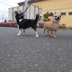 20220614_070651.jpg