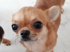 20220625_115008.jpg