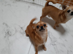 20220627_103511.jpg