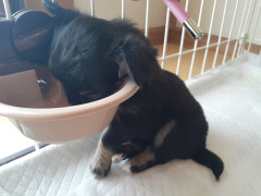 20220701_100421.jpg
