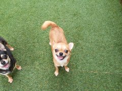 20220628_102831.jpg