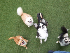 20220628_102605.jpg