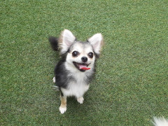 20220628_102305.jpg