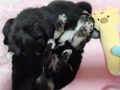 20220704_064701.jpg