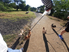 20220703_061651.jpg