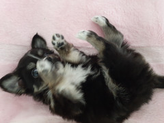 20220705_143751.jpg