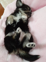 20220709_150911.jpg