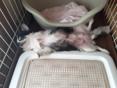 20220708_140856.jpg
