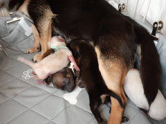 20220727_080053.jpg