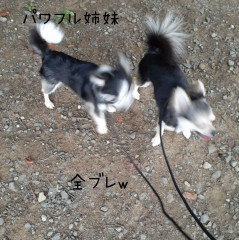 20220803_150618.jpg