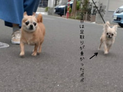 20220807_175108.jpg