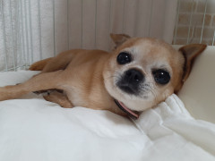 20220806_180436.jpg