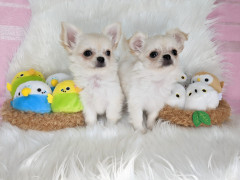 BeautyPlus_20220925103015253_save.jpg