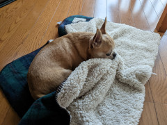 PXL_20221207_024955173.jpg
