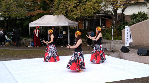 IMG_20191027_111755.jpg
