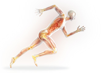 筋肉量を維持する３つの方法