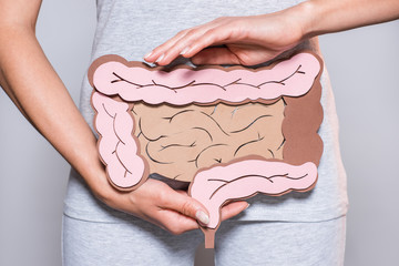 腸と脳の関係、腸脳相関