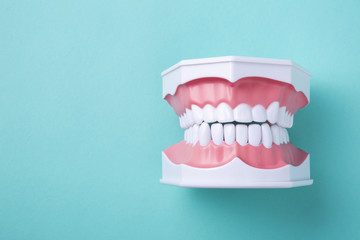 歯と健康の関係➀
