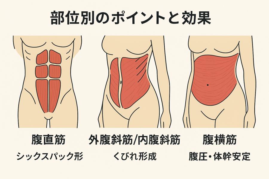 体幹はどんな形をしてもいいんですが、どの形もダメなんです。