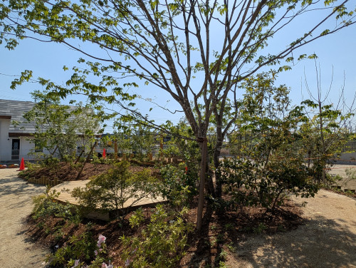 PXL_20250513_054247780.jpg