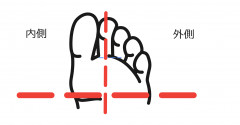 autodraw 2020_2_2 10_01_32.png