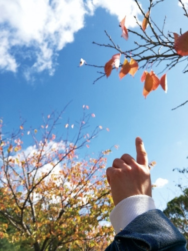 （事例紹介）最後まで絶対に諦めない。