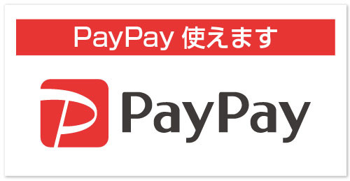 paypay_logo.jpg