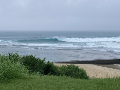 IMG_8072.jpeg