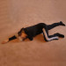 advance-pose04.jpg