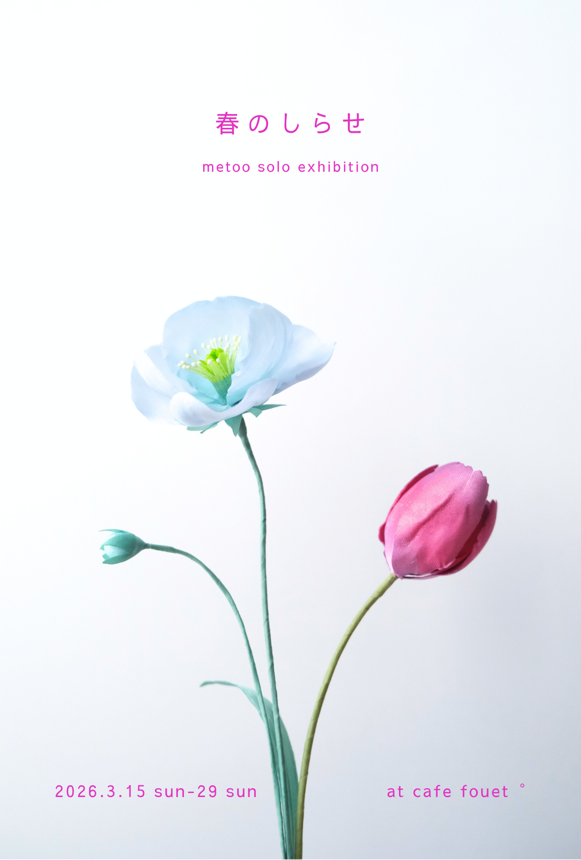 3月 個展のお知らせ