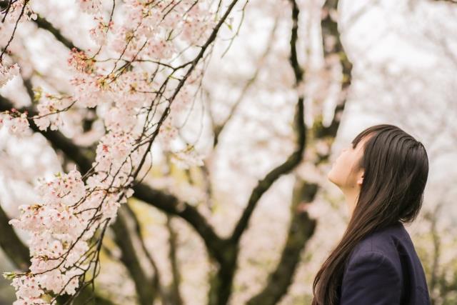 現役生・浪人生必見！東京周辺エリアのランキングで人気の医学部大学～東京女子医科大学～