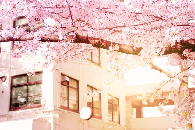 現役生・浪人生必見！東京周辺エリアのランキングで人気の医学部大学～帝京大学～