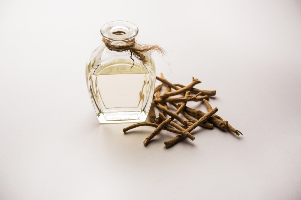 W1024Q100_AdobeStock_326346216.jpeg