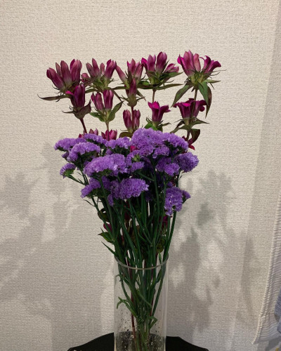 W1024Q95_5AA03D2D-E230-40CE-B396-AFF01294D08E.jpg
