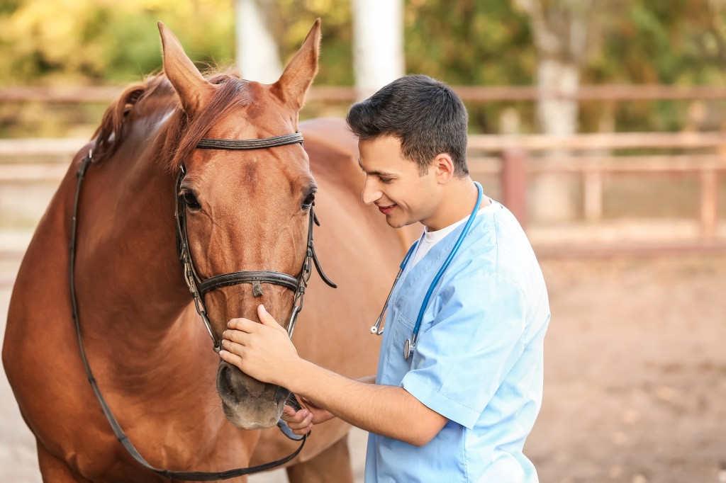 W1024Q95_AdobeStock_392772072.jpeg