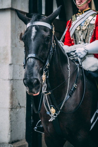 W1024Q85_AdobeStock_227309458.jpeg