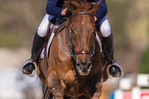 W1024Q95_AdobeStock_88759898.jpeg