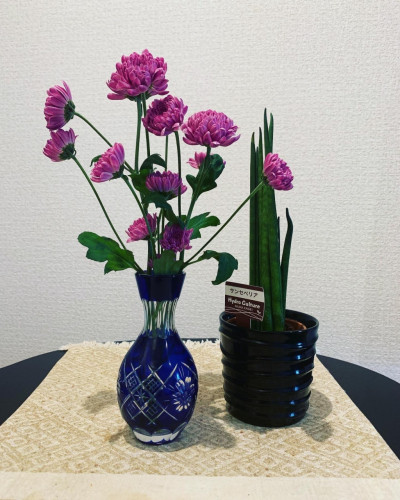 W1024Q100_4F56DCCE-02DD-4096-B485-2A2BA90FB175.jpg