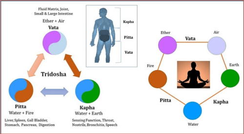 Tridosha-Prakriti-and-related-diseases-relation.png